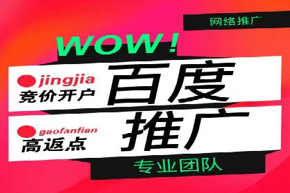 行业领先：百度竞价托管外包成功案例分析